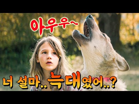 A touching true story! What happens when you raise a real wild wolf at home thinking it's a puppy...