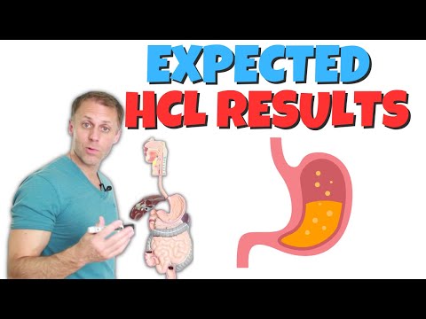 How Long Does It Take For HCL to Improve Digestion