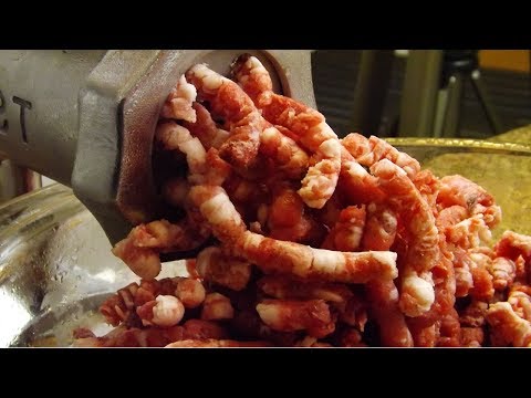 How to make Wild Boar Sausage! W/ Sausage Gravy Bonus!!! Tasty Tuesday