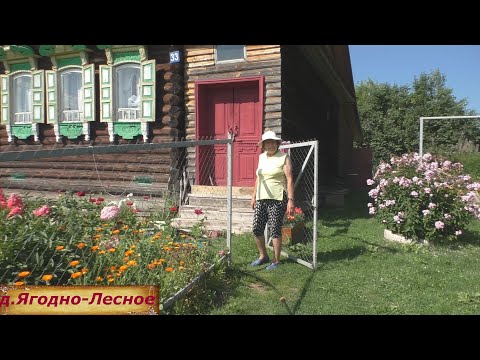 Сказочная деревня ягод. Красивая деревня в лесах. Добрая деревня. Деревня где хочется жить.