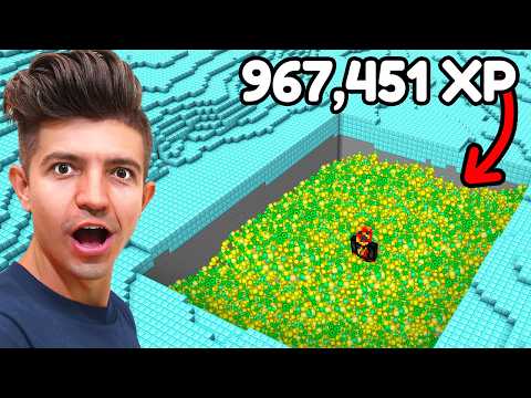 Minecraft, But Your XP = Your Job