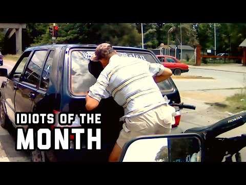 Idiots of the Month | Idiots in the Wild