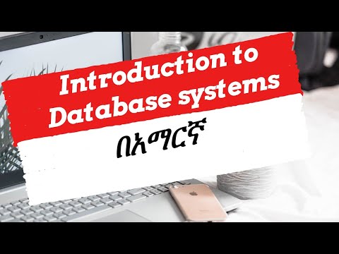 what is database and database management system part 1 Amharic/በአማርኛ