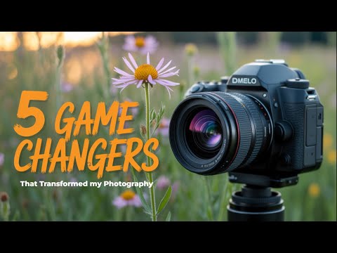 5 Changes I made Really Improved my Photography