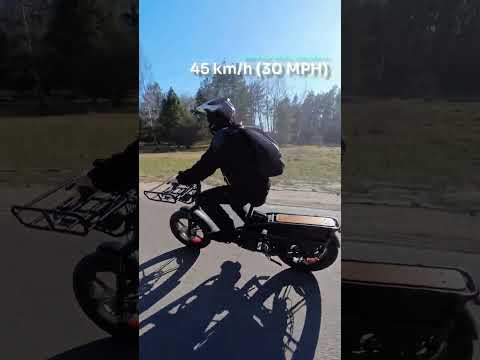 Fiido T2 - An Ultimate Cargo E-Bike?