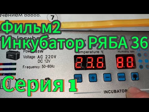 Фильм2 ПЕРВЫЙ ДЕНЬ инкубации в РЯБА 36, китайский инкубатор/ 16 апреля 2025