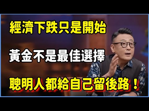 經濟下跌只是開始，聰明人都在給自己留後路！黃金不是最佳選擇#圆桌派 #窦文涛 #脱口秀 #真人秀 #圆桌派第八季 #马未都