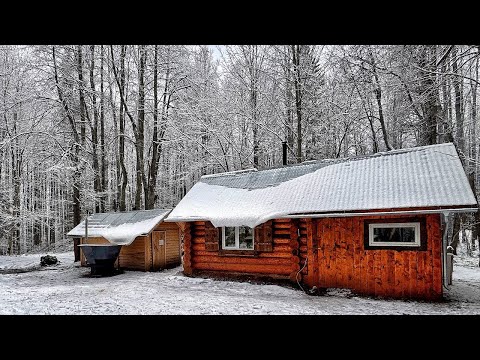 НОЧУЮ В ТАЙГЕ! -1°С! Привезли Банный Чан, Занесли ПЧЕЛ! 