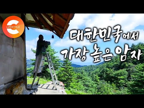 전기도, 이웃도 없는 지리산 꼭대기에 전설처럼 남은 암자ㅣ사람이 살 수 없을 것 같은 해발 1,500m 위를 20년째 떠나지 않는 스님(ft.우리나라에서 가장 높은 절)ㅣ#한국기행