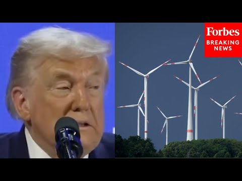 Trump At Davos: 'The More Windmills A Country Has, The More Money That Country Loses'