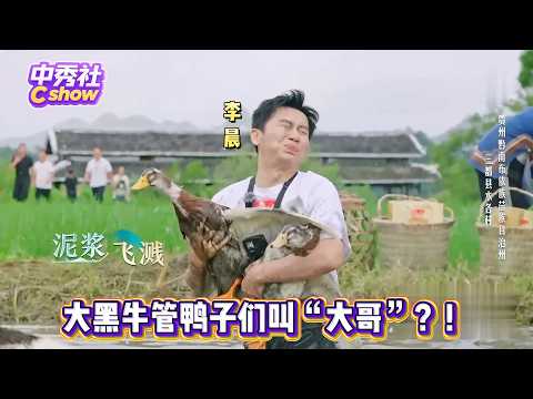 #李晨 硬核泥塘抓鸭变“大黑牛”本牛！#撒贝宁 吃路边摊竟建议老板娘1个韭菜盒子卖50块？？？#邢菲 #山水间的家
