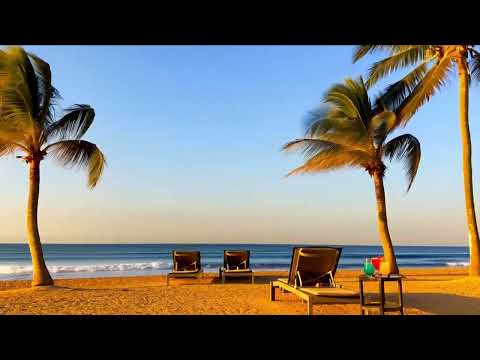 Tropical Beach Ambience | Ocean Waves, Palm Trees & Peaceful Summer Vibes ☀️🌴