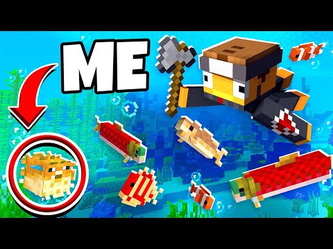Mob Hide and Seek in Minecraft is Hilarious