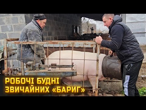 🇺🇦Будні БАРИГ! Відбираємо останню худобу в СЕЛЯН! Подорож закинутими селами!