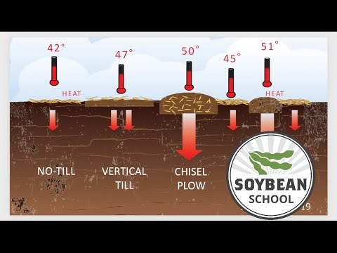 Soybean School: To till or not to till