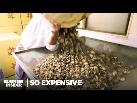 How Japan's Priciest Shiitake Mushrooms Fuel A $740 Million Global Shiitake Industry | So Expensive