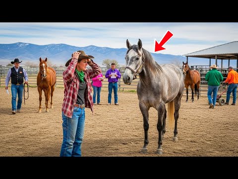 She Bought The Wrong Horse At Auction — What Happened Next Will Leave You Speechless