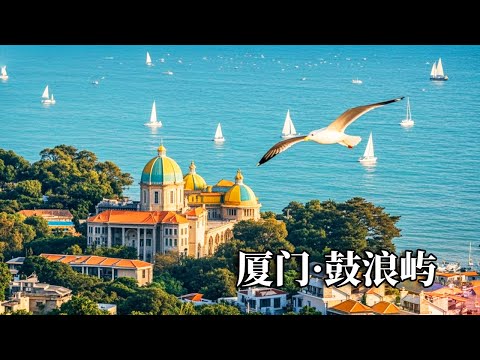 厦门鼓浪屿一日游全攻略！暴走3万步解锁全部景点，深度感受鼓浪屿之美【行走世界的北京老刘】