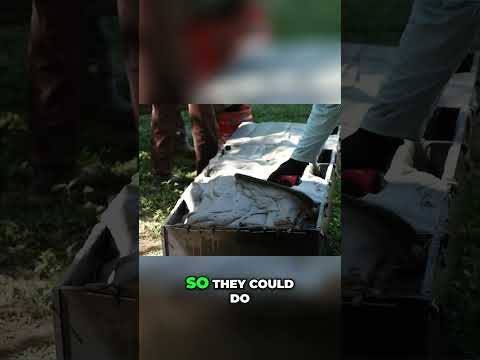 Aircrete Batch Time: How Fast Can It Be? #shorts