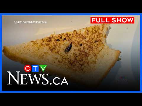 Saskatoon woman finds roach on her diner sandwich | CTV News Saskatoon at Six for Feb. 27, 2026