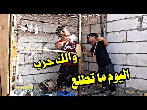 The people of Al-Matairjiya fought on the roof