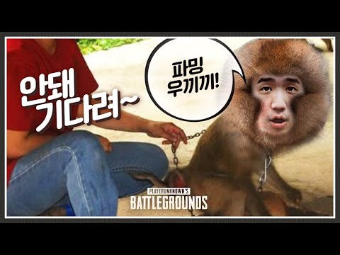 킴성태를 조련하는 역대급 프로 출신 BJ를 만났습니다ㅋㅋ 【듀오 킬내기 대회 8강】 [배틀그라운드]