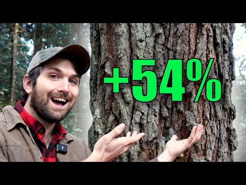 How to Make Your Forest's Growth Rate Explode