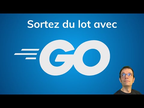 Go en 80 minutes pour les développeurs pressés