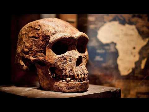 The Fossil That Breaks the East Africa Theory