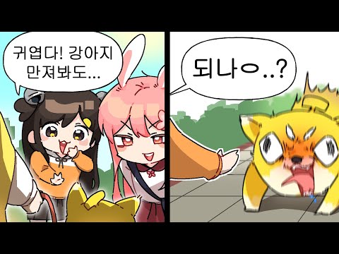 개 조심
