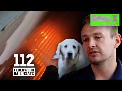 Feuerwehreinsatz: Alarmstufe Tier! 😱🦮 | COMPILATION | 112 Feuerwehr im Einsatz