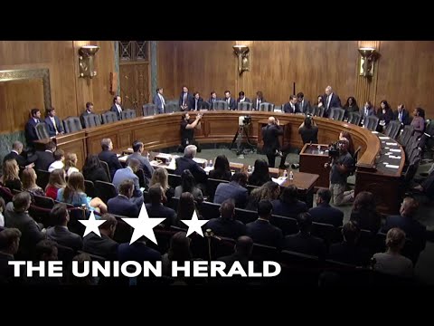 Senate Hearing on AI Chatbots