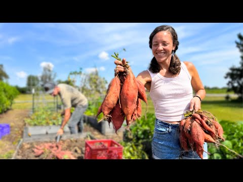 Growing a TON of FOOD in a Small Amount of Space
