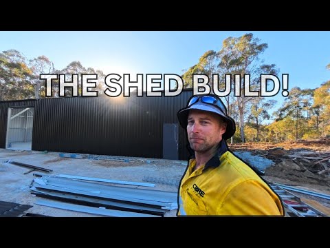 Huge progress! We Hit A Major Milestone! Building The Shed! #offgridlife #tasmanian #shed #offgrid 
