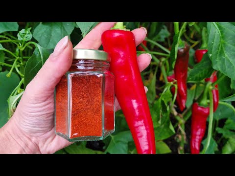 Grow Your Own Paprika Spice (How to Make Paprika from Peppers)