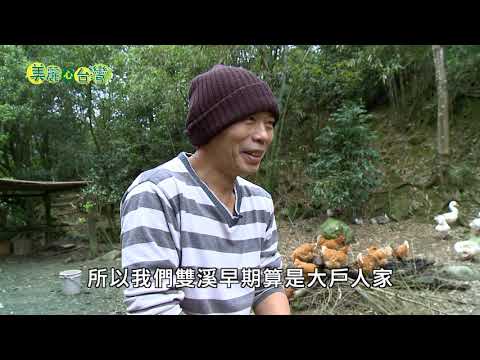 【新北市雙溪】尋回祖先遺留的山谷農地 呂文志開展有機農牧 | 有機無毒 | 271 | #美麗心台灣