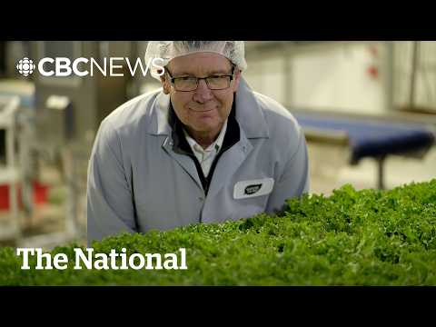 Want more ‘Buy Canadian’ food? These companies are trying to help