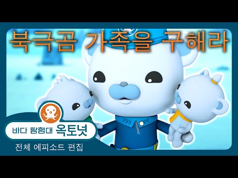 바다 탐험대 옥토넛 - 🐻‍❄️ 북극곰 가족을 구해라 🐾🧊 - 120분+ 편집 - 모음집