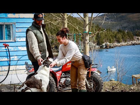 Living on an Off-Grid Island – Fencing and a New Animal Shelter