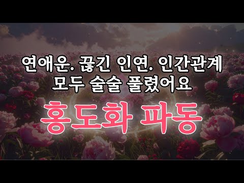 도화살 파동🌺연애, 끊긴 인연, 인간관계가 술술 풀렸어요. 528hz meditation music that evokes charm and love
