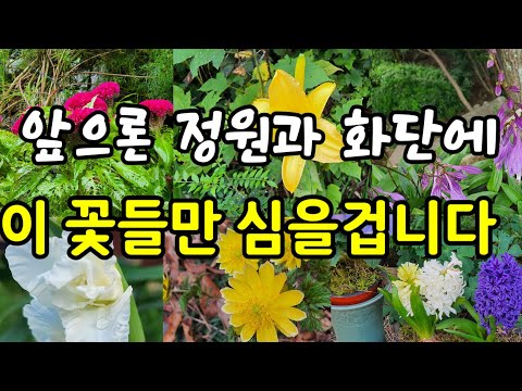 After growing many flowers, I have selected 40 flowers that I want to plant in my garden and flow...