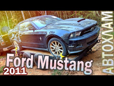 Купил битый Мустанг с аукциона