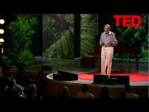 Geoffrey West: The surprising math of cities and corporations