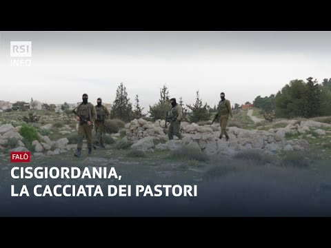 Cisgiordania, la cacciata dei pastori - Falò | RSI Info