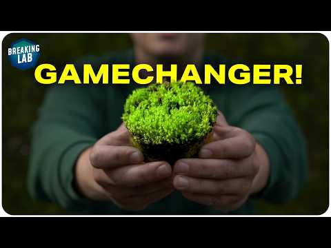 Lebender Beton: Baustoff der Zukunft