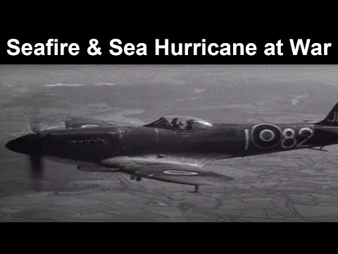 Seafire & Sea Hurricane at War