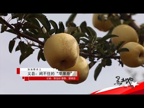 黑土地 20251125：義縣：閑不住的「蘋果哥」