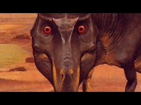 Nanotyrannus is Real