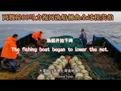 两艘1200马力拖网渔船海上捕鱼作业全过程实拍。