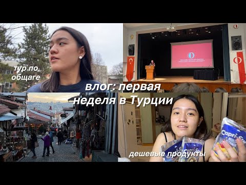 exchange в Турции: влог #1 | общежитие, ориентационная неделя, выходные в городе
